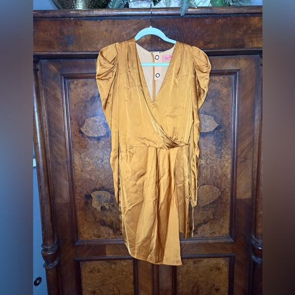 GUC Manning Cartell- Terracotta Long Sleeve Mini Dress. Size US 4 - Picture 3 of 14